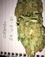 EL PRESIDENTE 28G - ozbabe