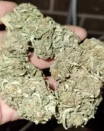 SUPER SOUR DIESEL 28G - ozbabe
