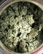 30g Bulk Order any Strain (Green Gelato, Desert Diesel, Bubble Gum, ...)
