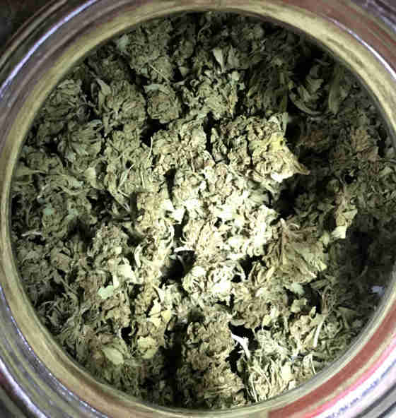 30g Bulk Order any Strain (Green Gelato, Desert Diesel, Bubble Gum, ...)