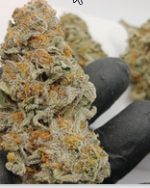 [ESCROW] 500 GR GELATO 33 AAAA++++++++