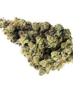 Dartmouth Kush