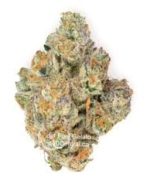 Jet Fuel Gelato