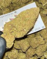 $205 - 2oz (56g+) - Blueberry Muffins EXOTIC INDOOR AA+ (+Free Shipping!)