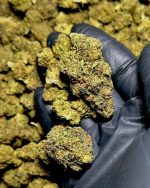 $315 / QP / 112g - PURPLE COOKIES - (Fresh & Frosty AAA+ Dep) +Free Ship!