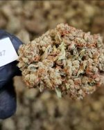 3.5g STARDAWG - United Kingdom NEXT DAY