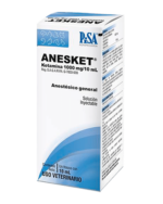 Anesket 1000mg 10 ML
