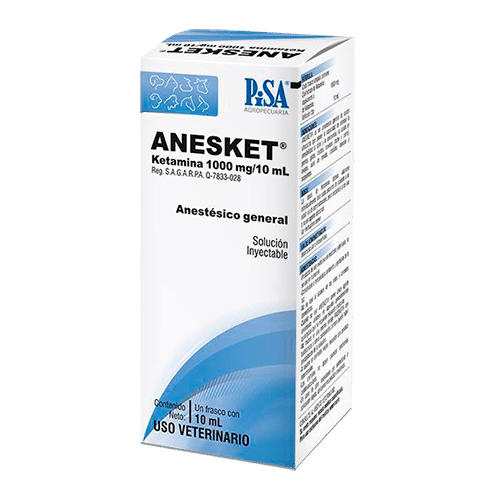 Anesket 1000mg 10 ML