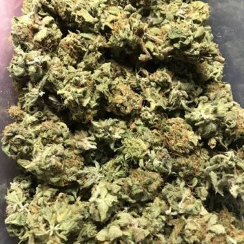 White Widow 10g (THC:22%)