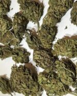 Sugar Cookie 10g