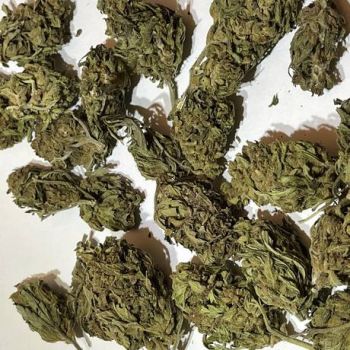 Sugar Cookie 10g