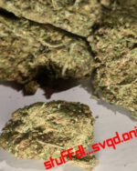 1g Amherst Sour Diesel Humboldt