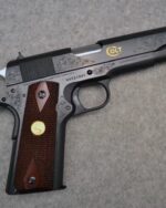 Colt ~ Government ~ .45 Auto