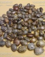 Ricin grains - 1kg