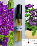 HELIOTROPE | Heliotrope (not in autopsy) Powerful and silent poison 10g