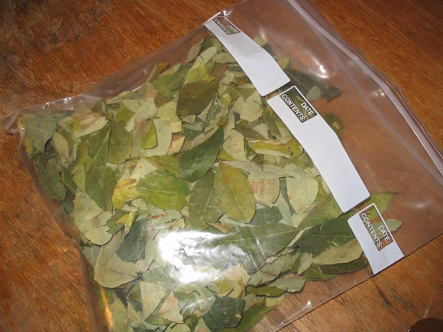 cocaine – Coca Leaves 1000g