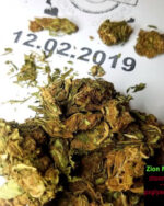 10G Green Poison